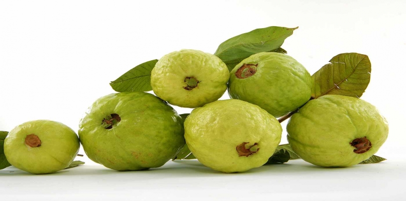 فيتامين «عالصبحية».. فوائد الجوافة